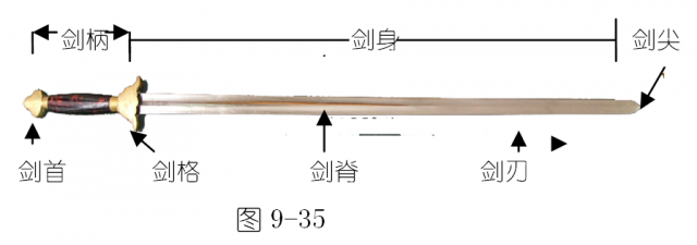 (丧尸病毒的) 全城惊恐！丧尸病毒横行，人类何去何从？求生之道揭秘！